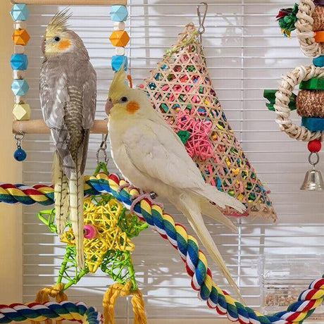 Colorful Standing Bird Perch for Birds