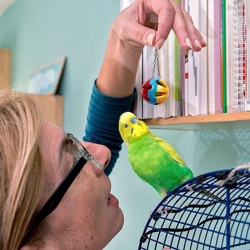 10PCS Bird Toys Cockatiel Cage Toy Set