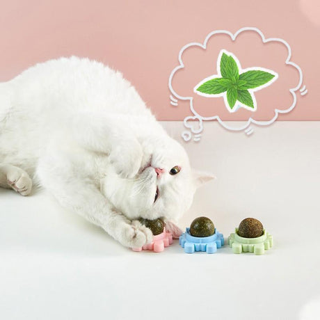 Rotatable Cat Mint Balls for Interactive Play