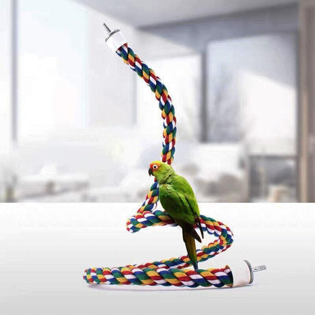 Colorful Standing Bird Perch for Birds